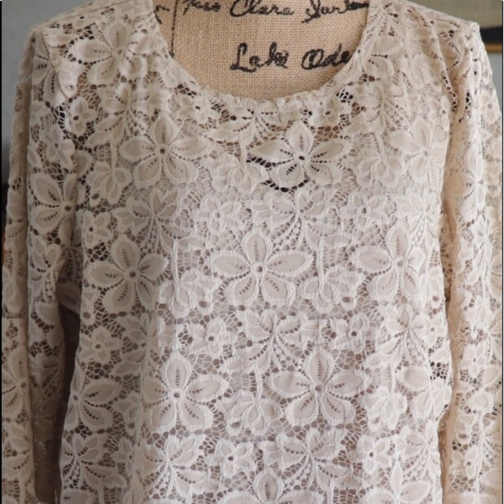Susan Graver Stretch Lace